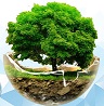 REY BEY FARM